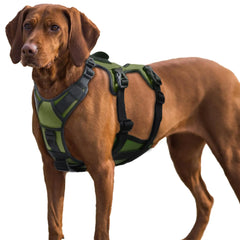 AUROTH Dog Harness Escape Proof Dog Harness for Large Dogs No Pull Dog Harness with Lift Handle Soft Padded Reflective Adjustable Dog Vest Harness Large Dog Harness for Walking Hiking Training