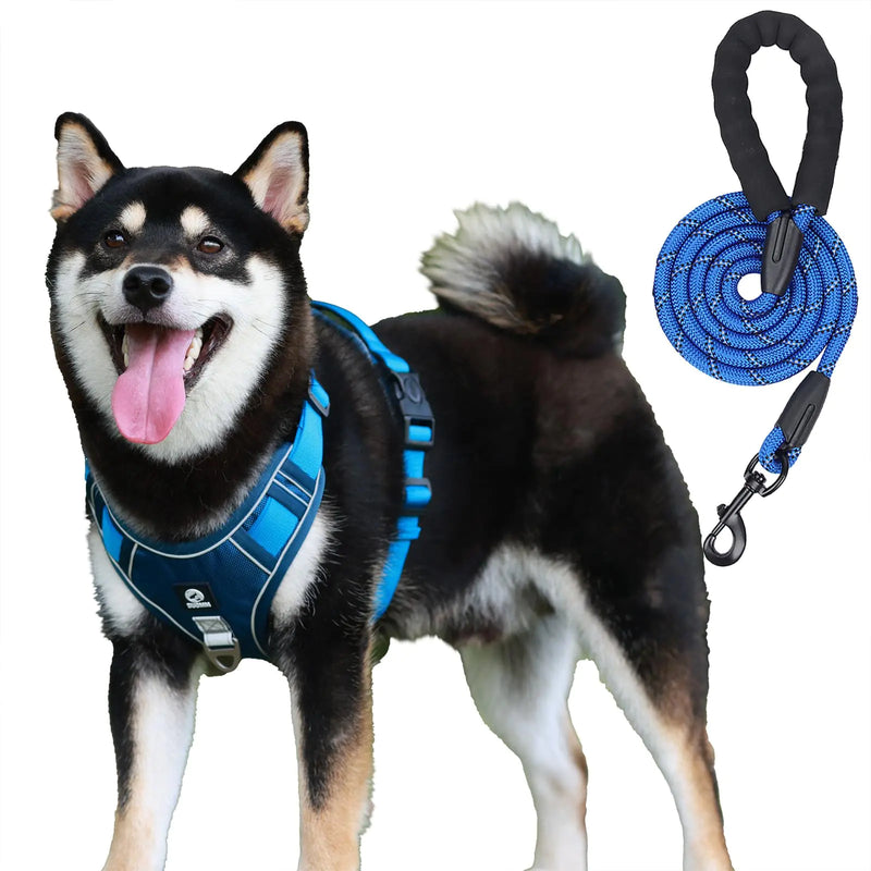AKEISHE Dog Harness and Leash Set with Handle - Adjustable No-Pull Harness and Leash Set with 2 Leash Clips Soft Padded Reflective Vest for Easy Control (M)