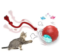 Pet Rolling Ball (One Piece)