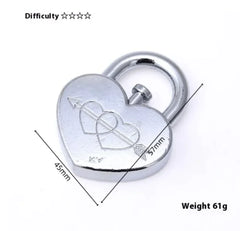 Brainy Locks Puzzle Set